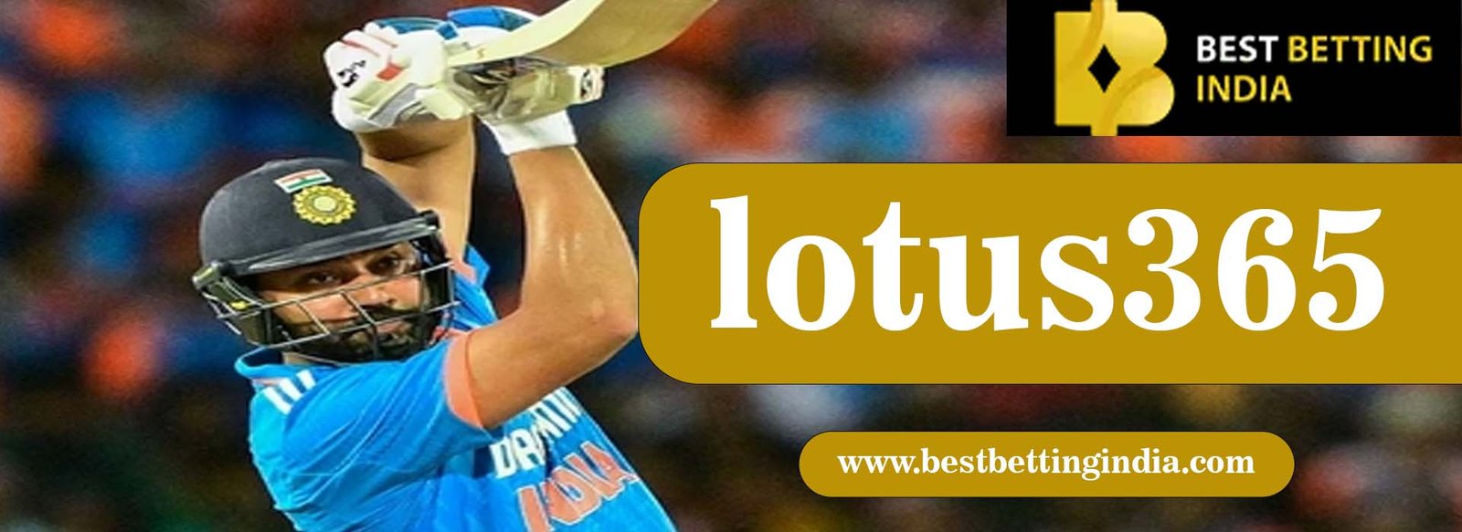 Lotus365